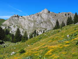 Minérale