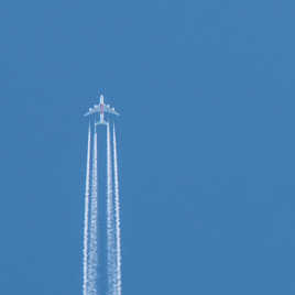 En voie de disparition