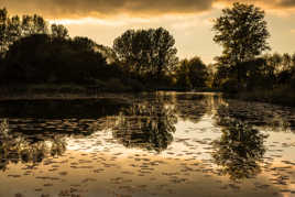 Lac du Mole