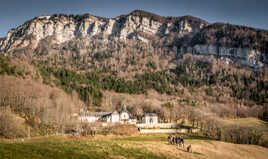 La famille, le couvent et la chartreuse