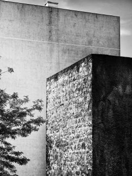 Minéral vs Végétal