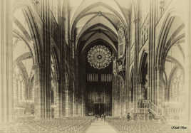 REFLETS DE STRASBOURG 8