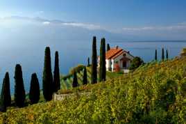 lavaux