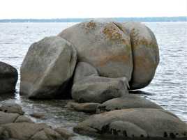 un y vois ce que l’ on veux