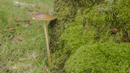 C'est bientôt la saison !!!