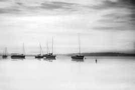 Tranquilité sur le lac