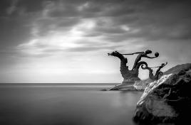 Les femmes chevauchant les hippocampes