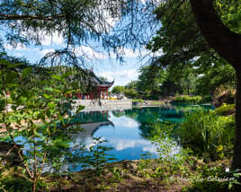 Jardin chinois