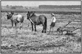 Le laboureur