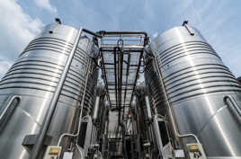 Cave coopérative (5)