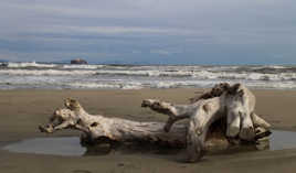 Plage Napoléon