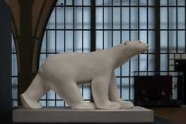 Ours blanc du Sélédocien