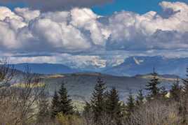 Foret montagne et ciel