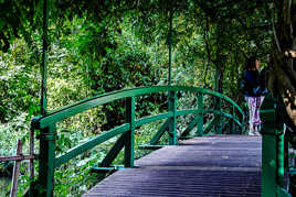 jardin de Monet Giverny