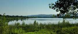 Le lac et ses marais.
