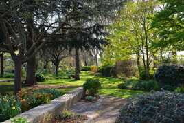 Douceur printanière