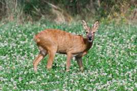 J'en suis bouche bée...