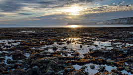 Littoral du pays de caux