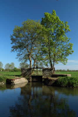 Etiers des marais Aubusson