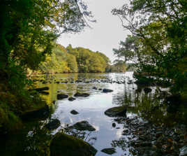 L'etang