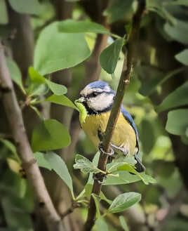 Retour de chasse (5)