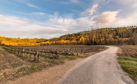 Fin d'après-midi ....
