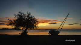 l'arbre le soleil et le bateau