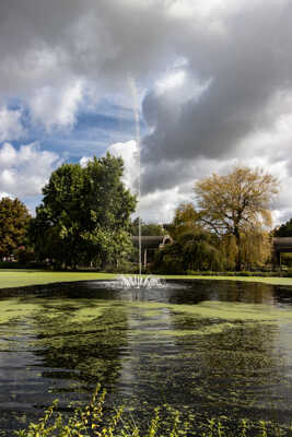 le jet d'eau