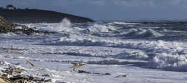 mesperleuc sous la tempete