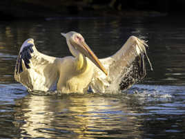 Au dernier rayon de soleil