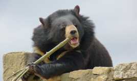 On déjeune à quelle heure ?