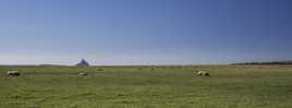 paisible Prés-salés du Mont-Saint-Michel