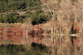 Au bord de l'eau