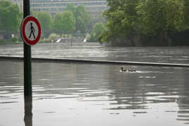 paris attention piétons