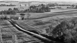 Au milieu des champs