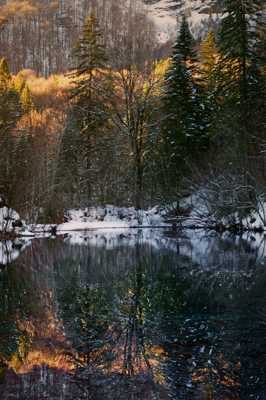 un reflet mouvementé
