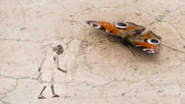 Rêve d'une petite fille