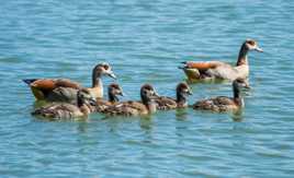 en famille !