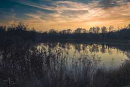 Vous avez dit "herbes folles"?