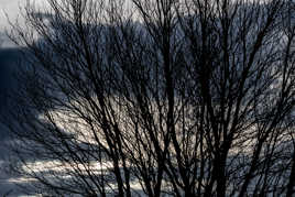 juste avant la pluie