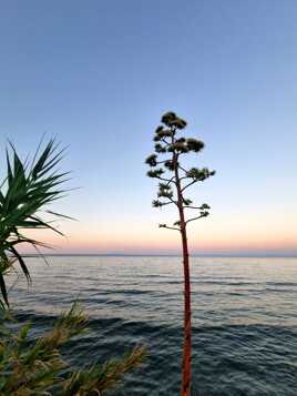 Bord de mer