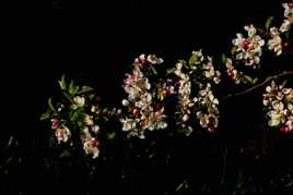 encore un peu au soleil