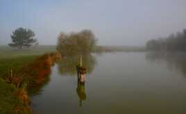 Une matinée au bord de l'étang