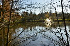 Automne parc de Bourran