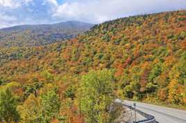 L'automne au bord de la route