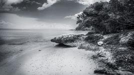 Saint-Francois GUADELOUPE plge du coulée