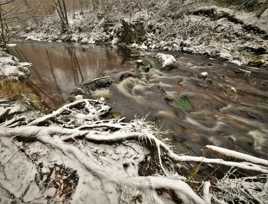 Un peu de fraîcheur.