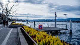 du jaune dans du bleu