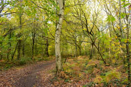 Invitation à la Balade