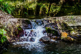 Le long de la Brague